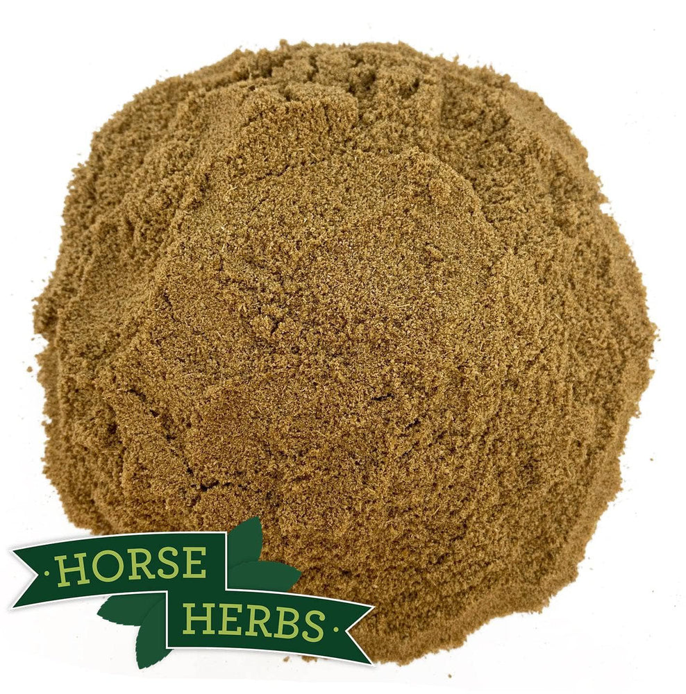 Horse Herbs Aniseed Powder