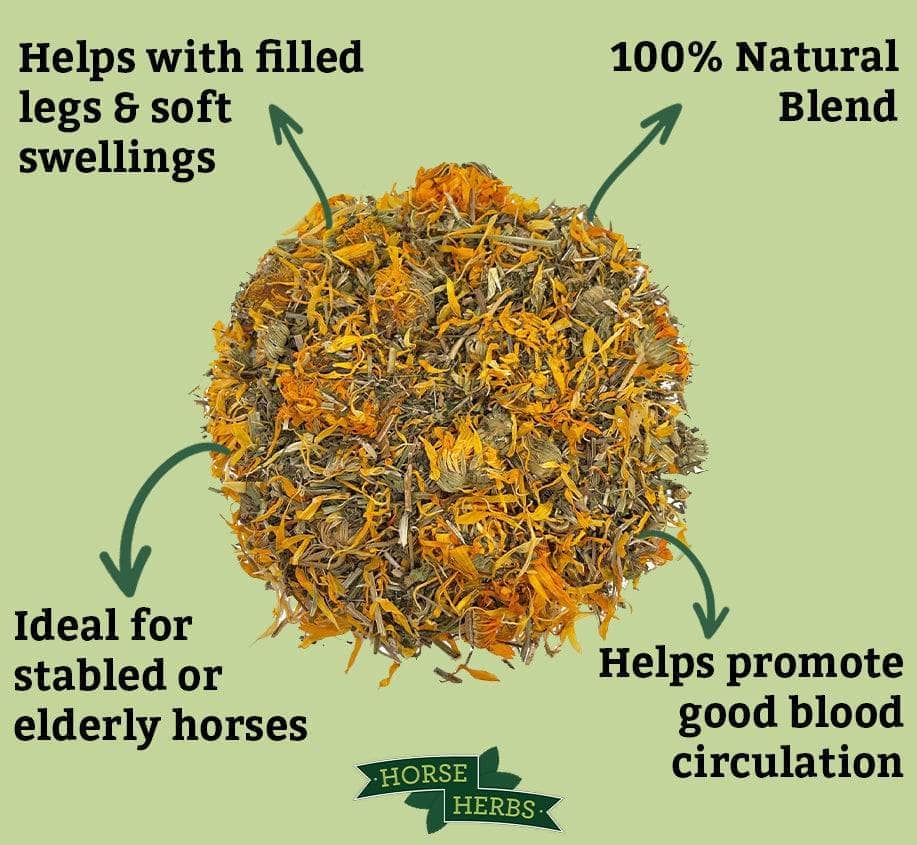 Cleavers & Marigold Organic Flower & Herb Mix Horse Herbs