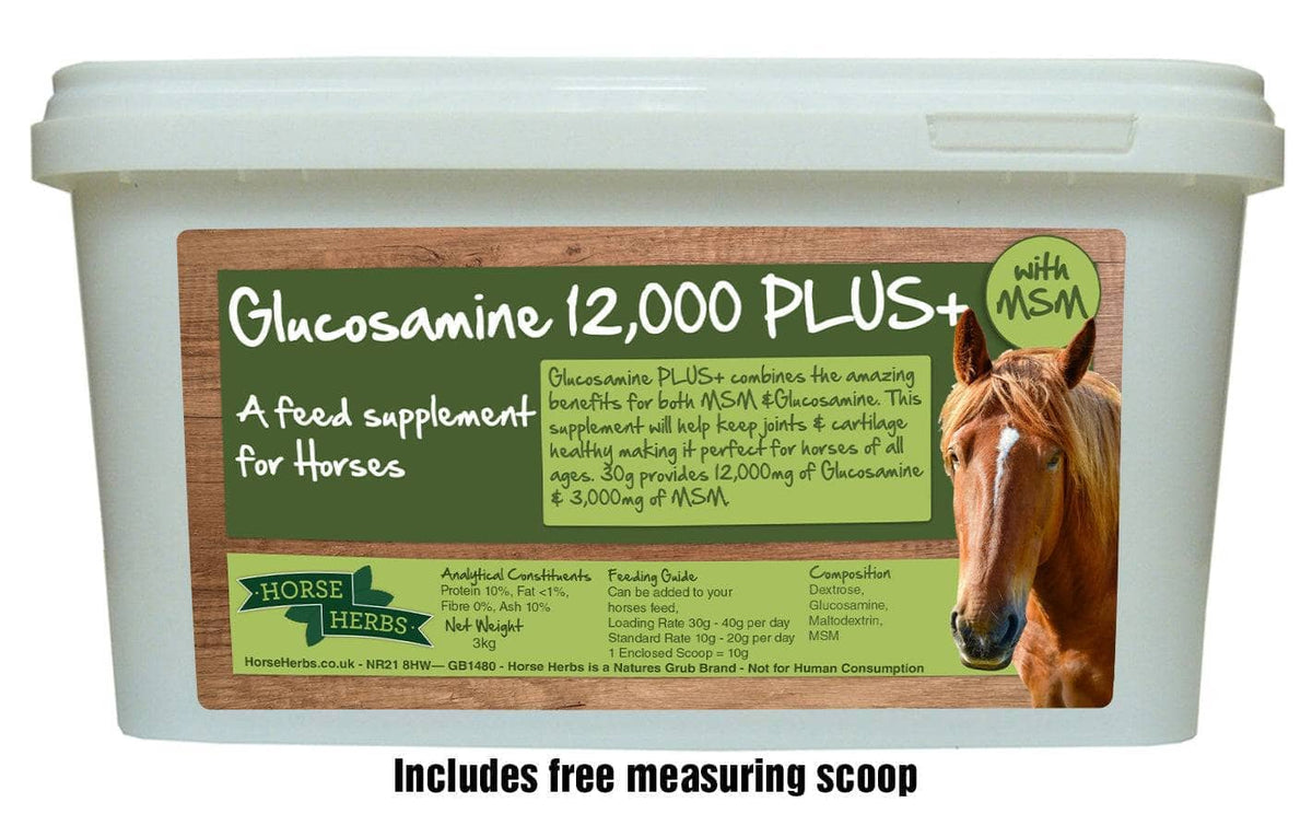Glucosamine for Horses Laminitis Preventative Horse Herbs