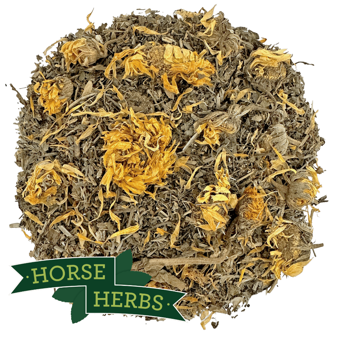Liver Support Plus for Horses | Equine Detox Supplement – Horse Herbs