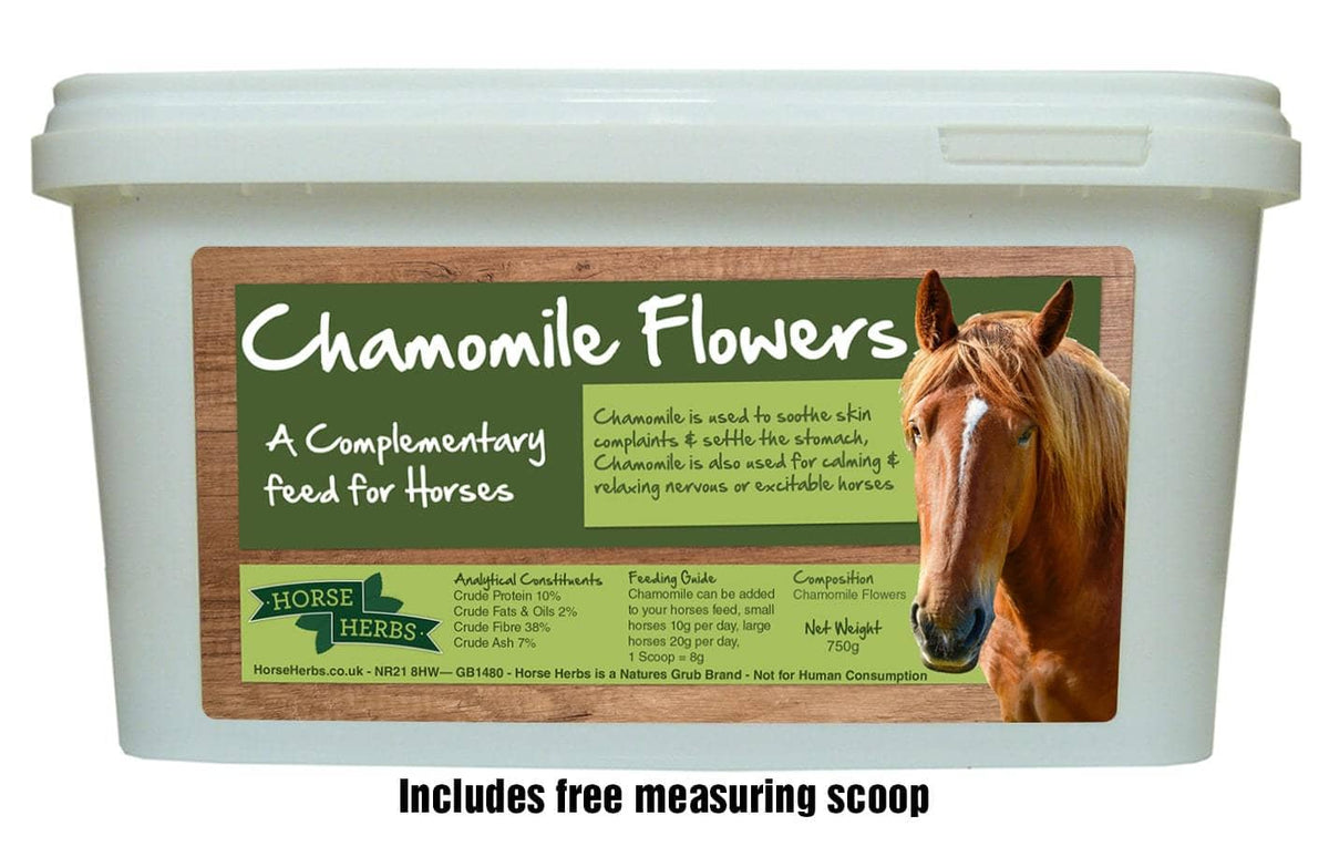 Chamomile Flowers for Stress, Tension & Anxiety Horse Herbs