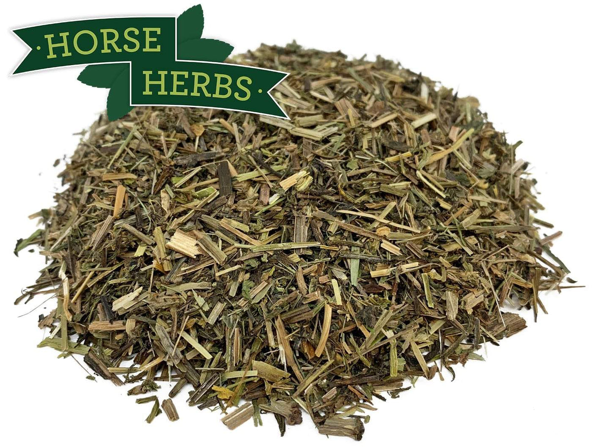Cleavers for Horses Lymphatic & Urinary Systems Horse Herbs