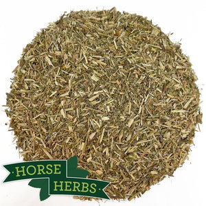 
                  
                    Horse Herbs Eyebright
                  
                