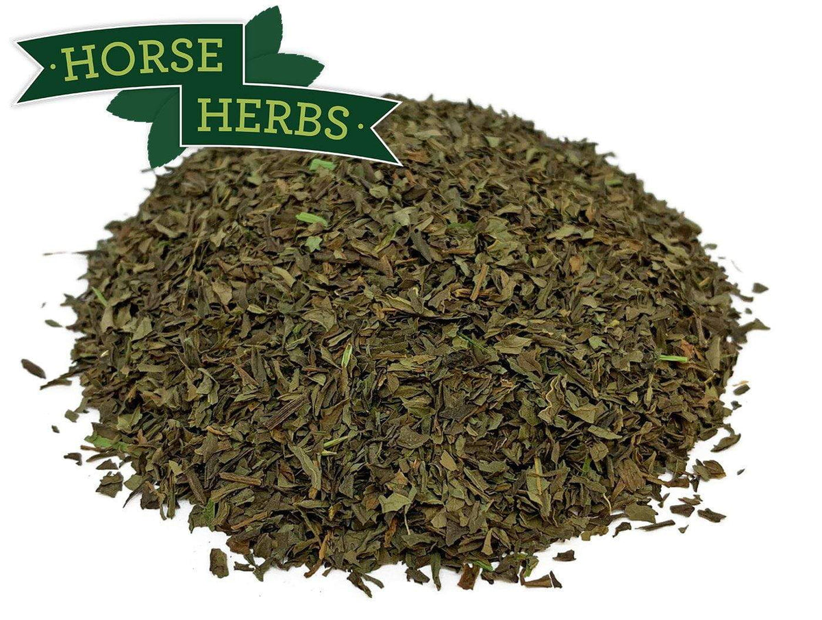 Horse Herbs Mint for Horses