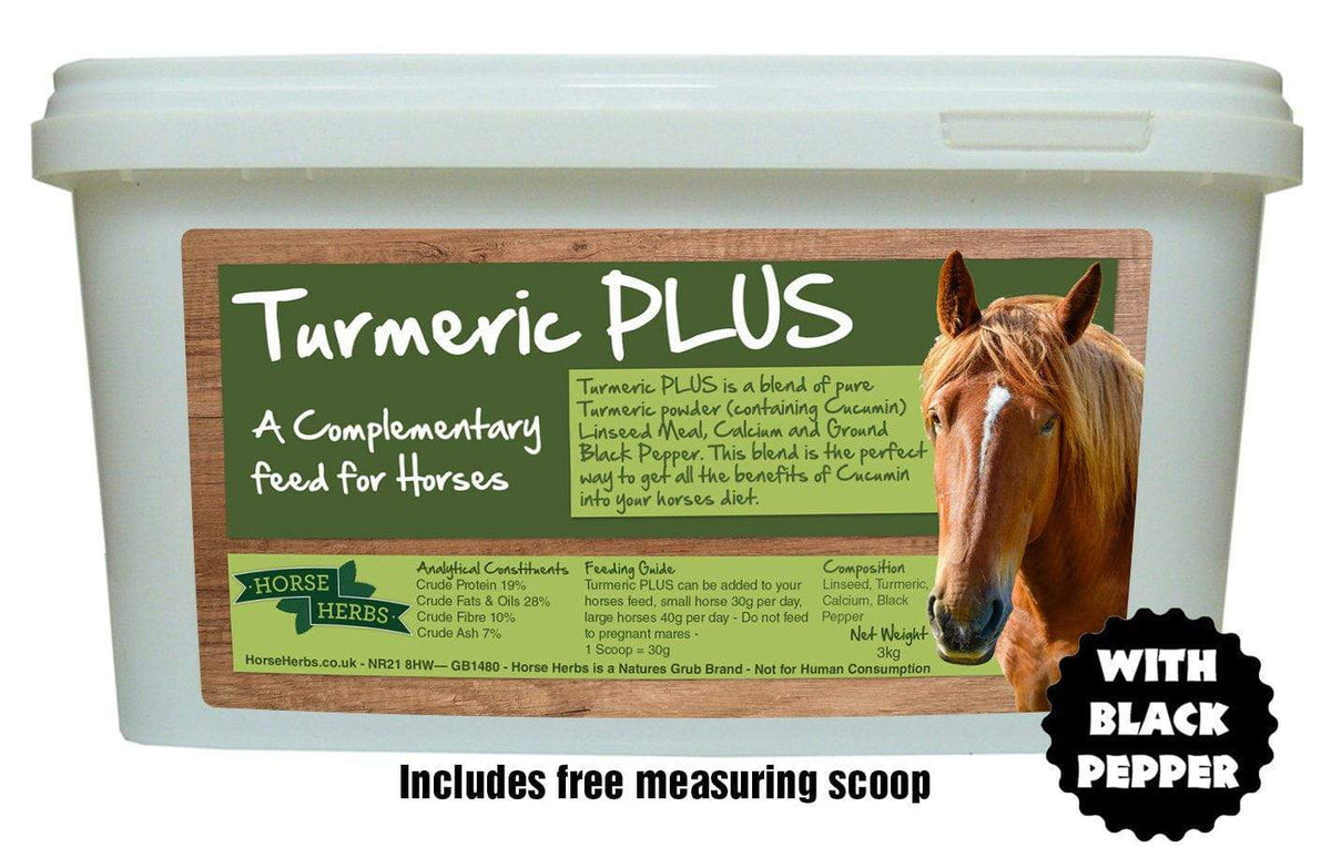 Turmeric PLUS Turmeric for Horses Horse Herbs UK