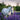 Horse Supplements Herbal Blend Range