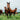 Equine Herbal Supplements for Horses