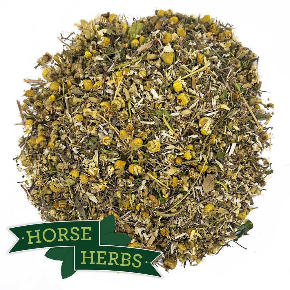 Best Natural Herbal Calming Mix for Nervous Horses Horse Herbs