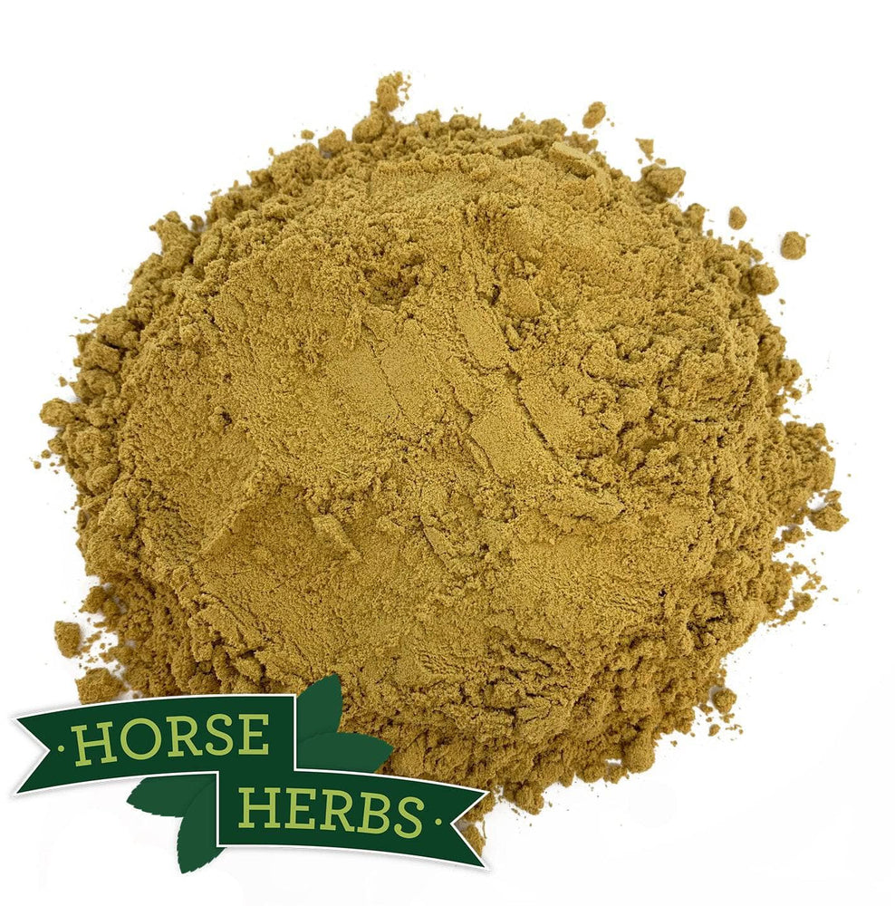 Horse Herbs Ginger Root Powder