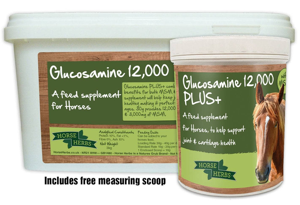 Horse Herbs Glucosamine 12,000 PLUS+