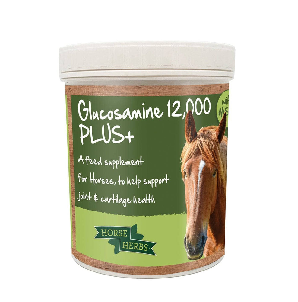 Glucosamine for Horses Laminitis Preventative Horse Herbs