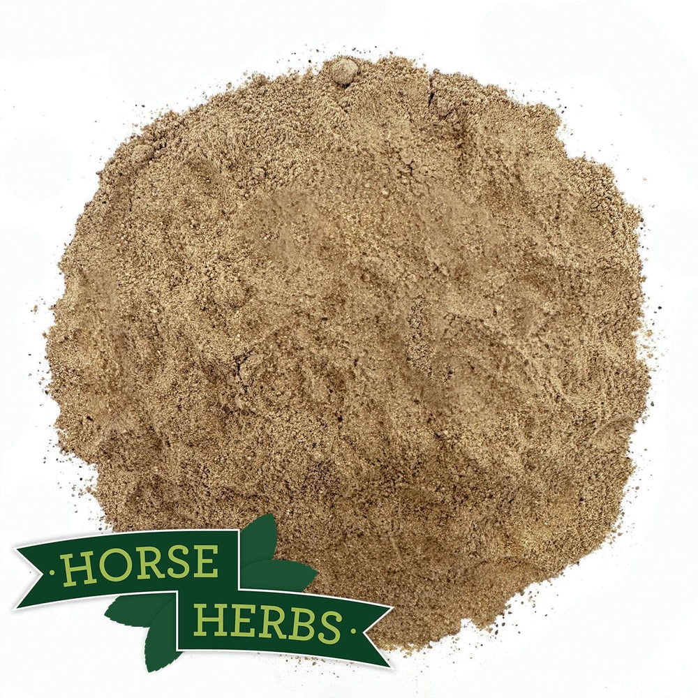 Horse Herbs Green Lipped Mussel Powder