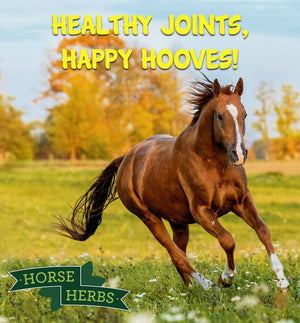 
                  
                    Horse Herbs Hydrate - Electrolyte Balance
                  
                