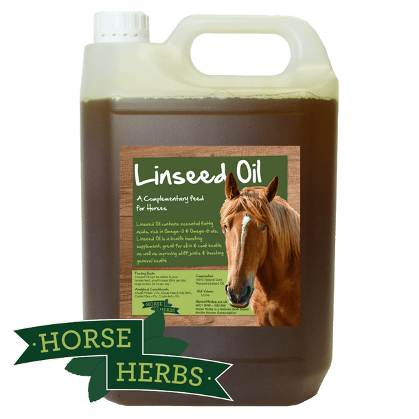 Linseed Oil for All Horses Horse Supplements Horse Herbs