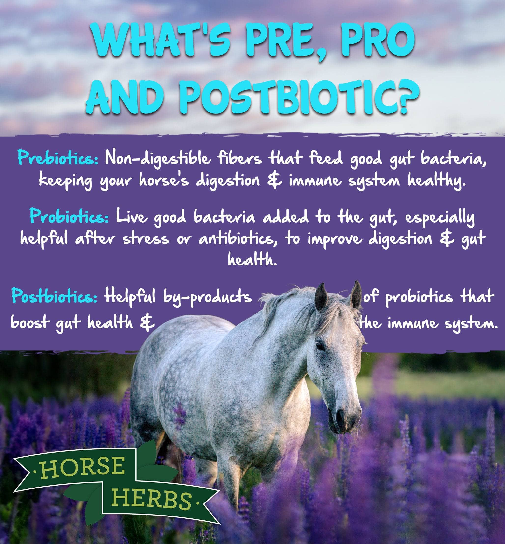 Microbiome Boost | Pre, Pro & Postbiotic Horse Gut Health – Horse Herbs