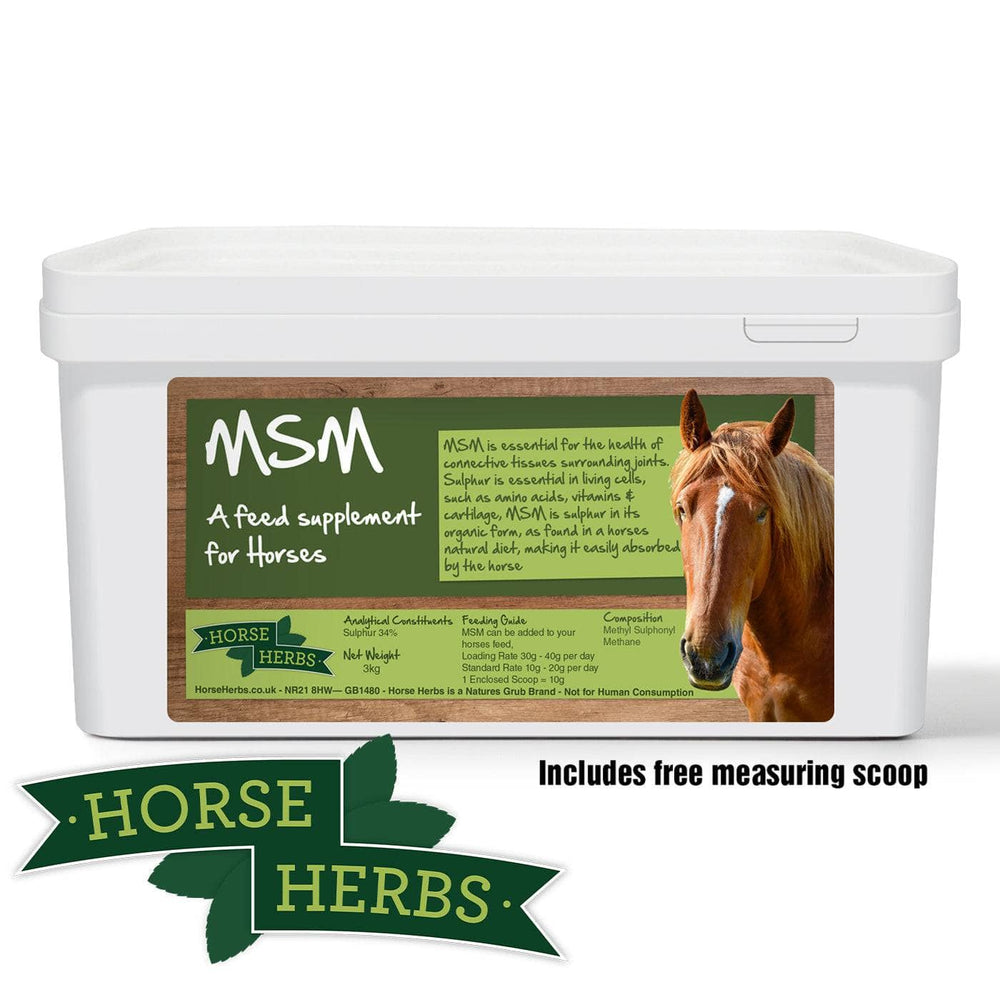MSM For Horses Methylsulfonylmethane Supplement Horse Herbs