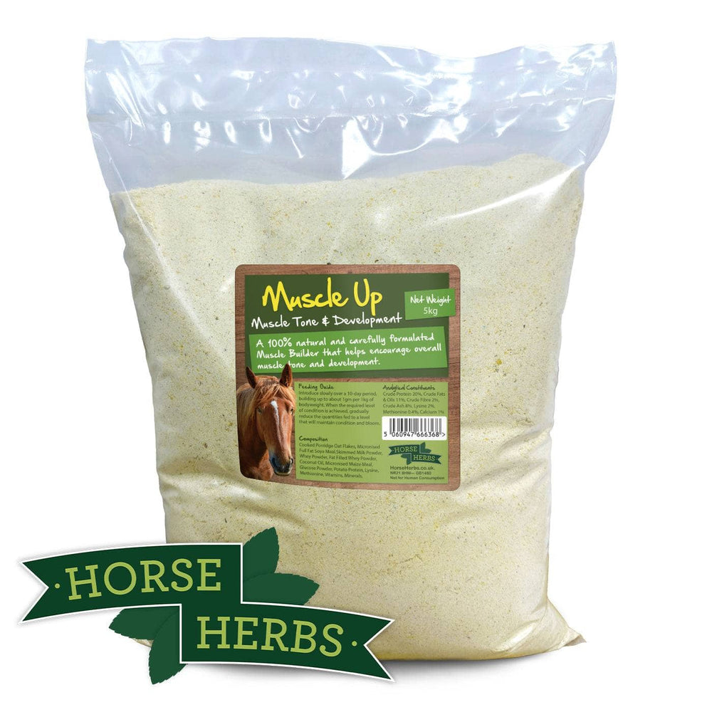 Horse Herbs Muscle Up
