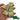 Horse Herbs Nettle Cubes 1kg Pouch