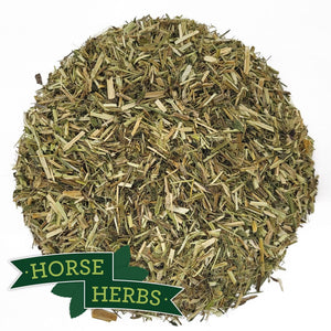 
                  
                    Horse Herbs Nettle Leaf & Stem - Cut
                  
                