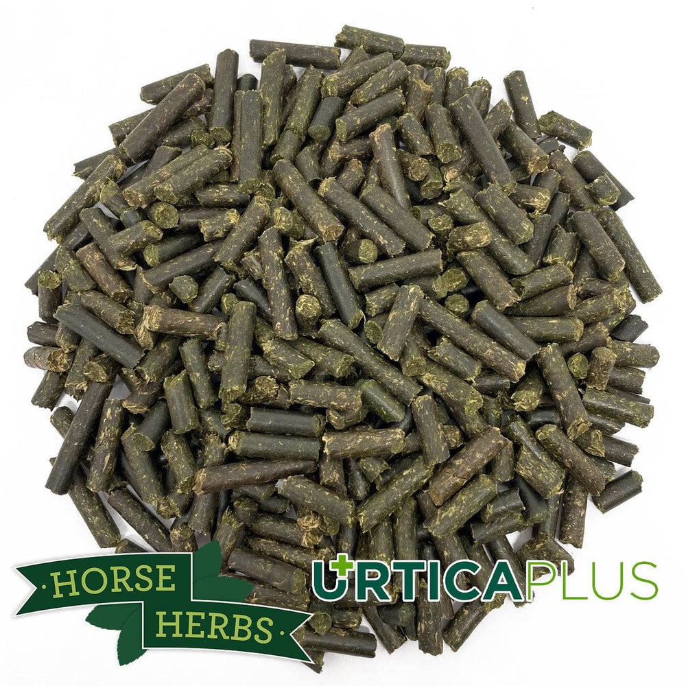 Horse Herbs Nettle Pellets - UK Grown