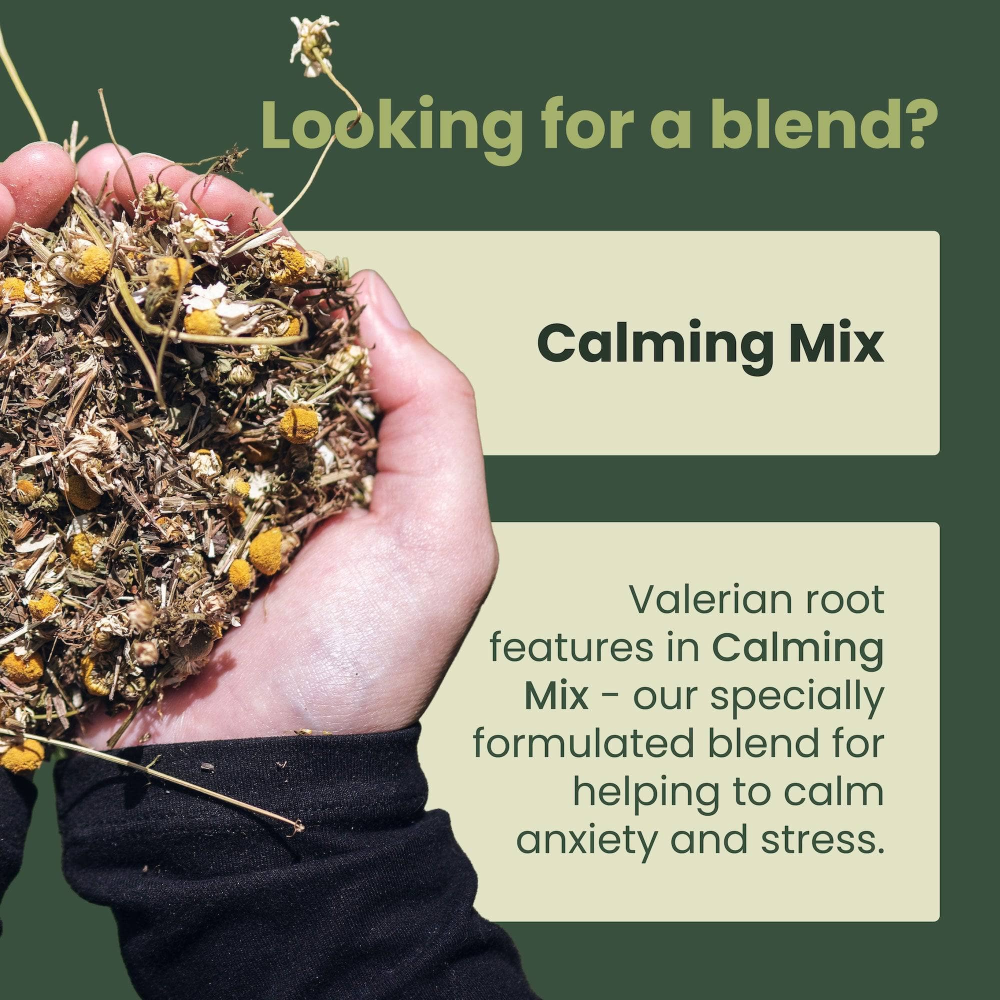 Horse Herbs Calming Mix 1kg | Natural Supplement ,Chamomile, Valerian Root | UK