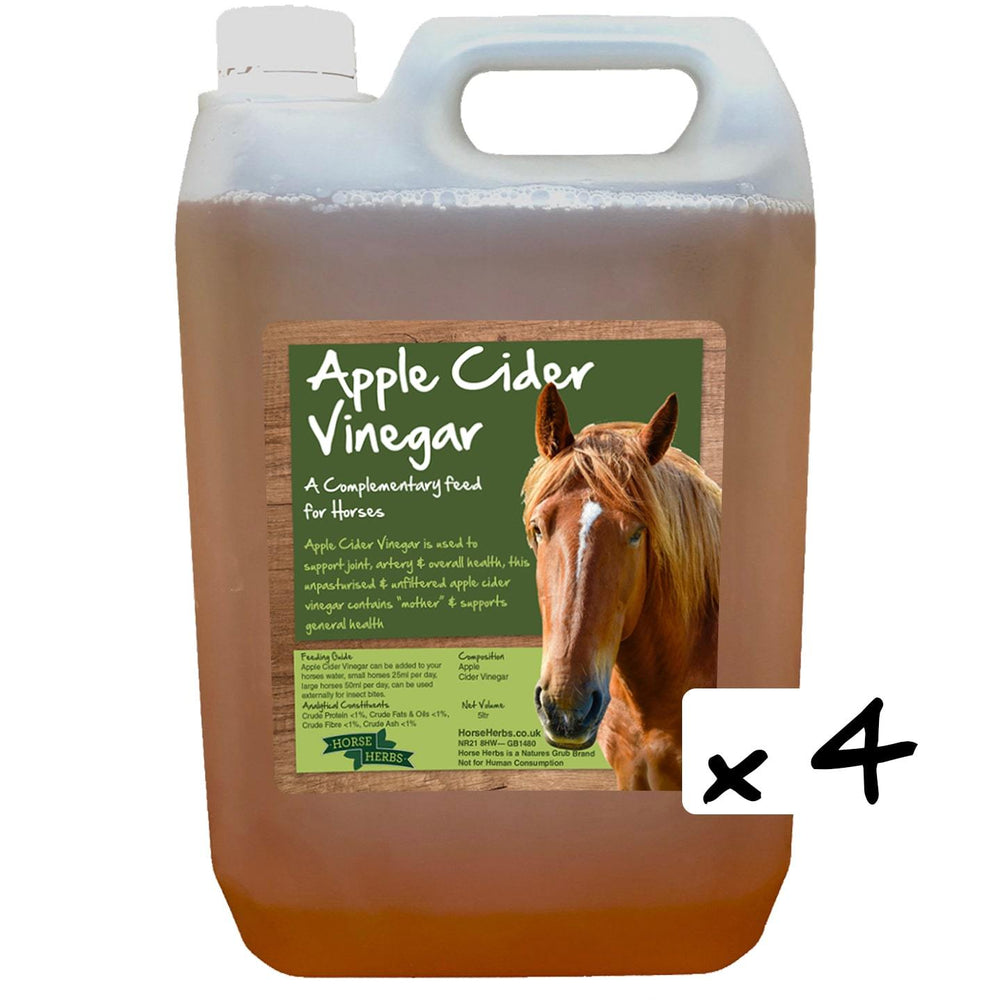 Apple Cider Vinegar for Horses Horse Health Horse Herbs