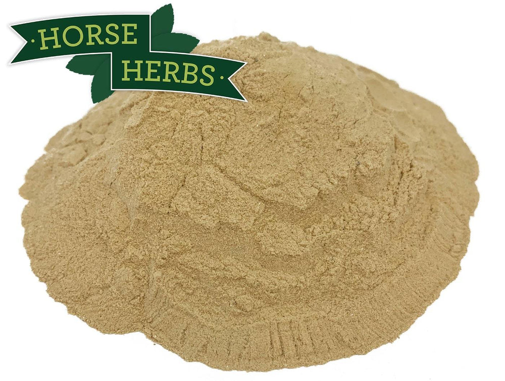 Brewers Yeast for Horses Horse Herbs