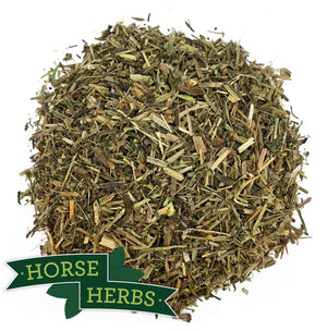 
                  
                    Horse Herbs Cleavers Herb
                  
                