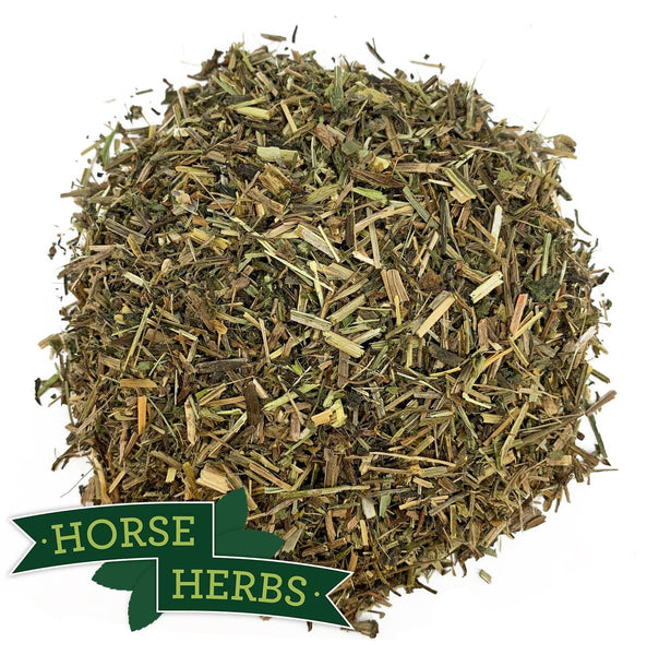 Cleavers for Horses Lymphatic & Urinary Systems Horse Herbs