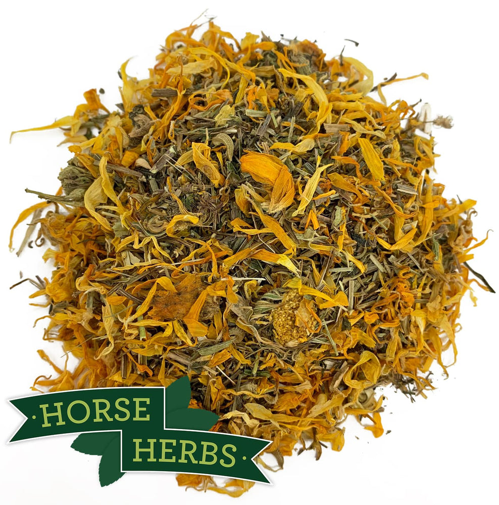 
                  
                    Horse Herbs Cleavers & Marigold
                  
                