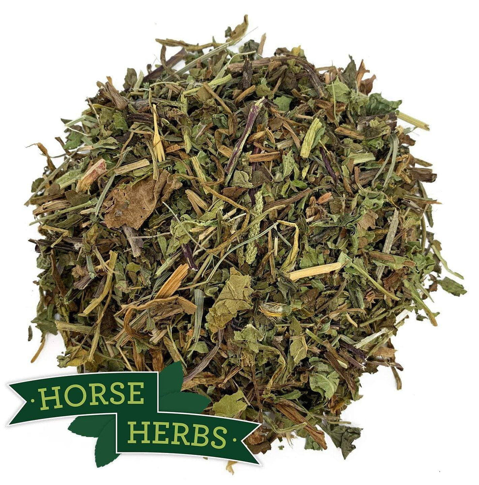 Joint and Mobility Supplements for Horses Horse Herbs