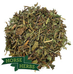 Horse Herbs Dandelion Leaf Cut