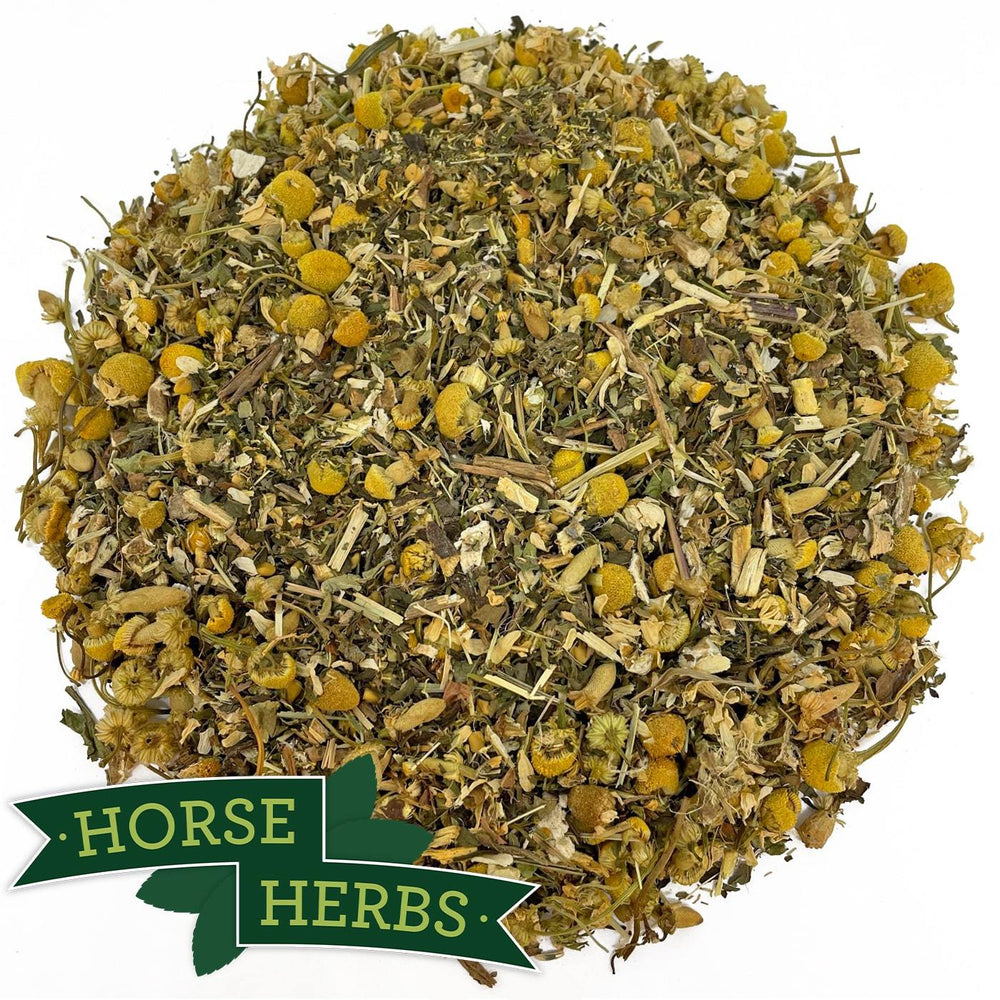 Horse Herbs Digestion Relief