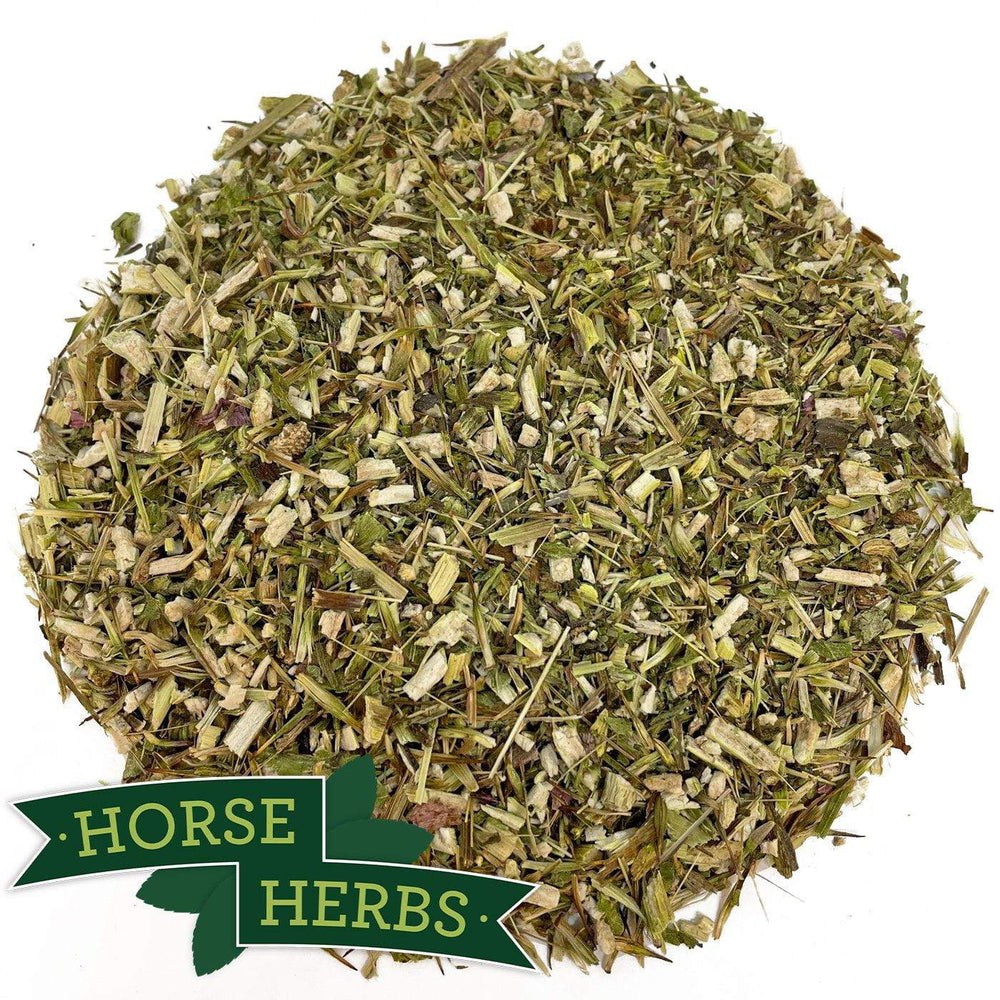 Horse Herbs Echinacea Herb Cut