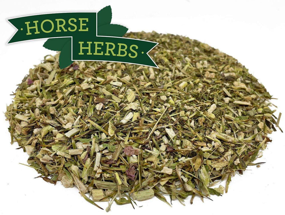 
                  
                    Horse Herbs Echinacea Herb Cut
                  
                