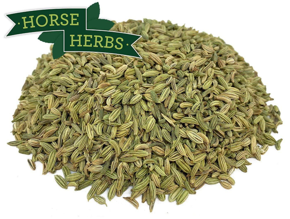 Horse Herbs Fennel Seeds