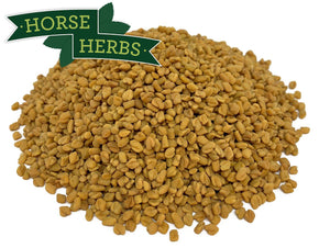 
                  
                    Horse Herbs Fenugreek Seeds
                  
                