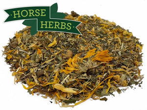 
                  
                    Horse Herbs Filled Leg Relief
                  
                