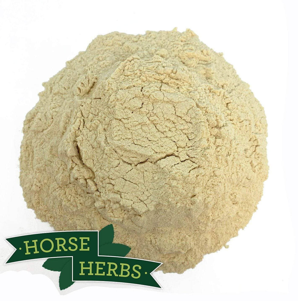 Garlic Powder Natural Horse Garlic Horse Herbs