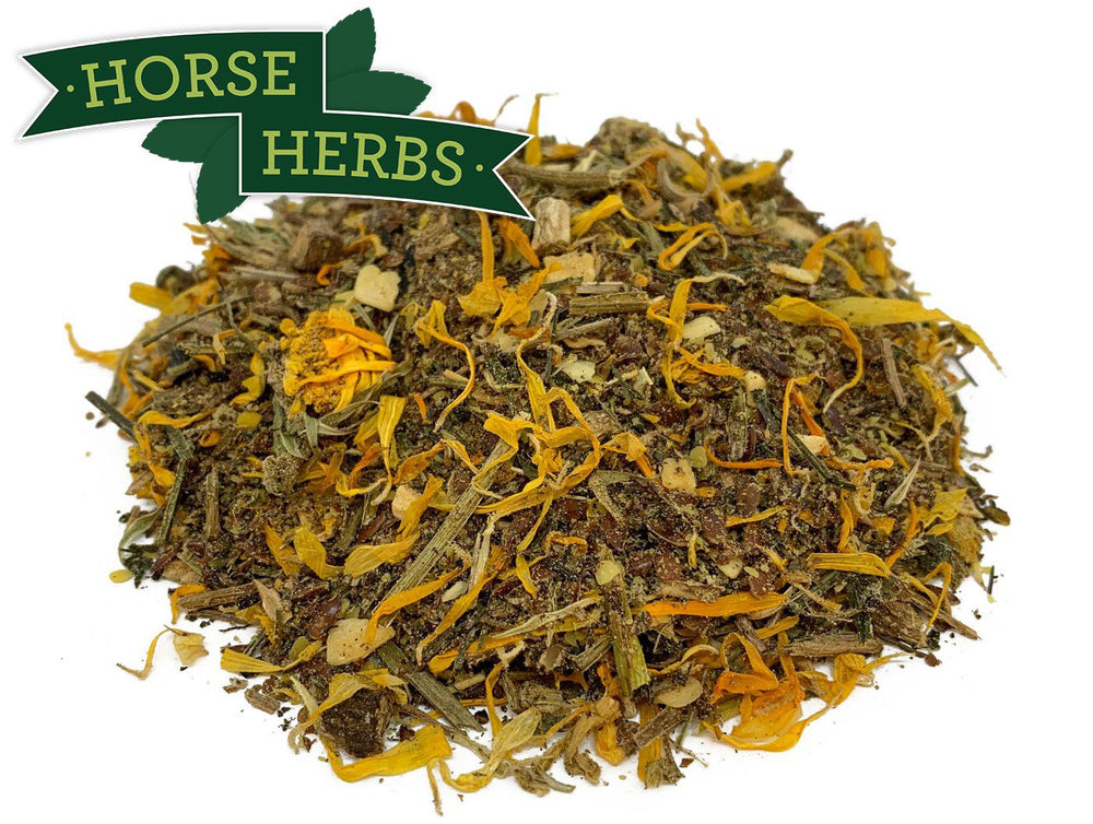 
                  
                    Horse Herbs Healthy Skin
                  
                