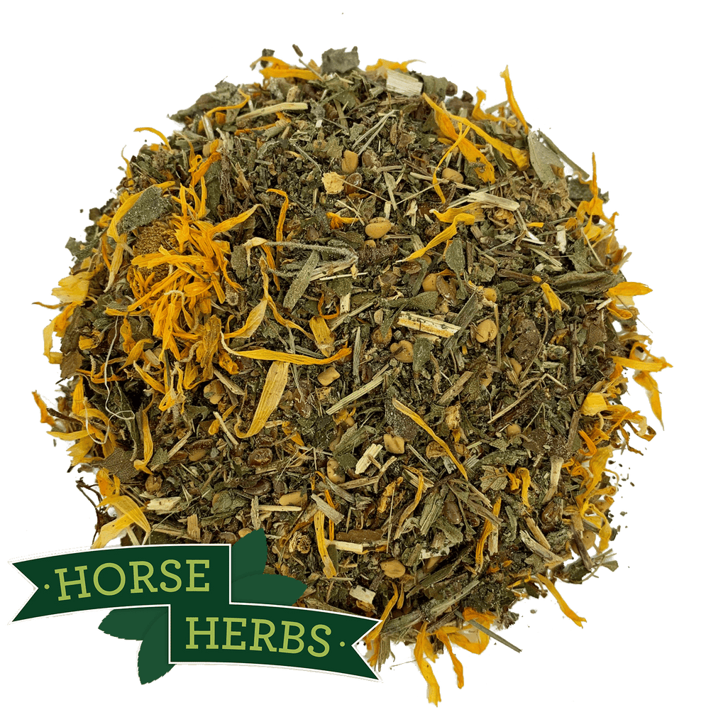 HandMixed Herbal Horse Supplements Equine Herbs Horse Herbs