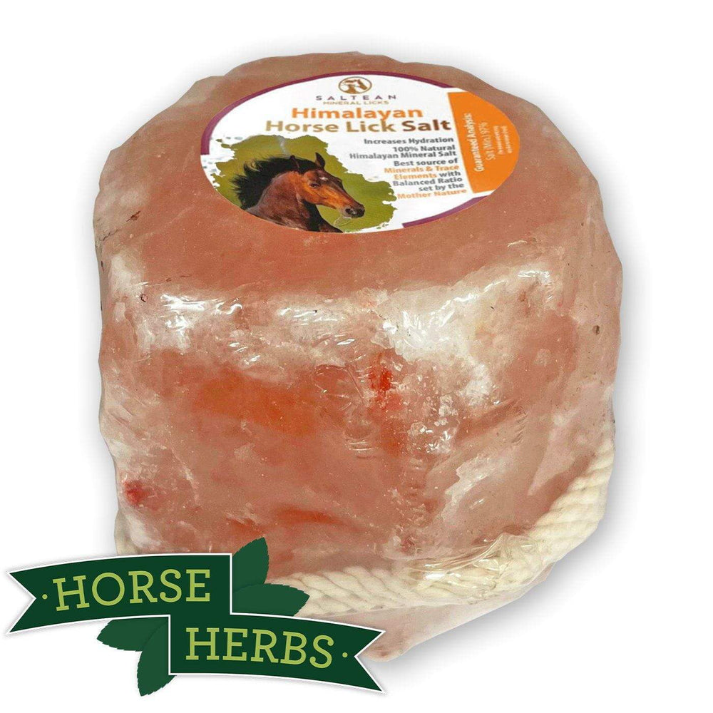 Roped Himalayan Salt Licks For Horses Rock Salt Horse Herbs