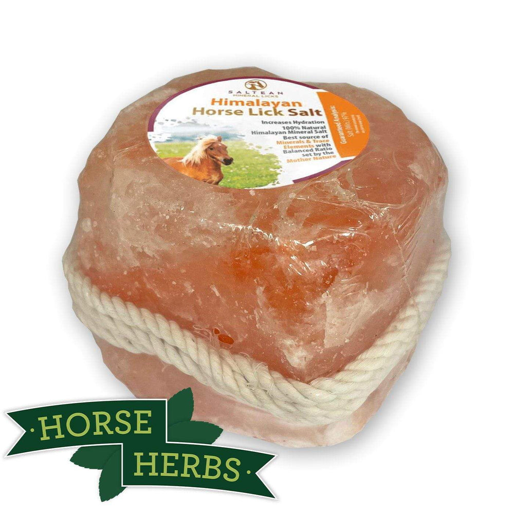 Roped Himalayan Salt Licks For Horses Rock Salt Horse Herbs