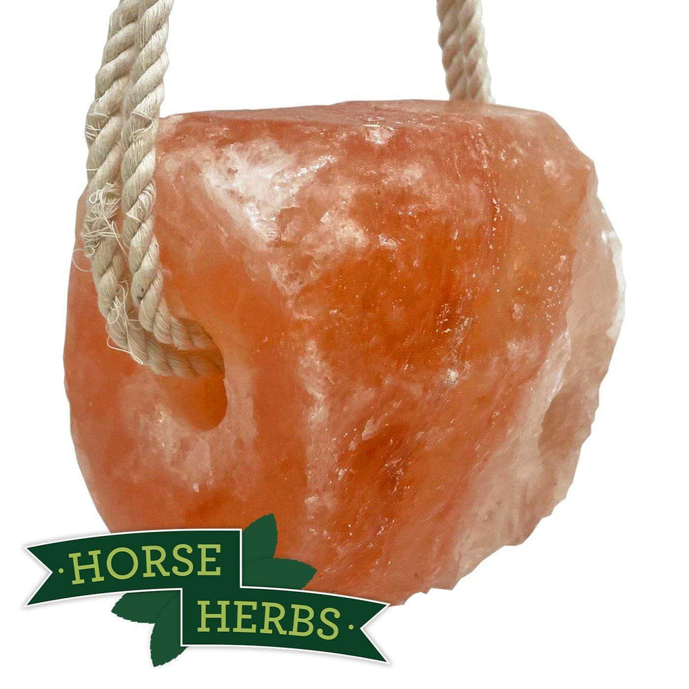 Roped Himalayan Salt Licks For Horses Rock Salt Horse Herbs