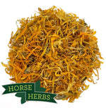 Horse Herbs Marigold Flowers