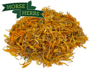
                  
                    Horse Herbs Marigold Flowers
                  
                