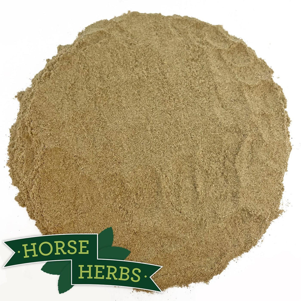 Horse Herbs Marshmallow Root Powder