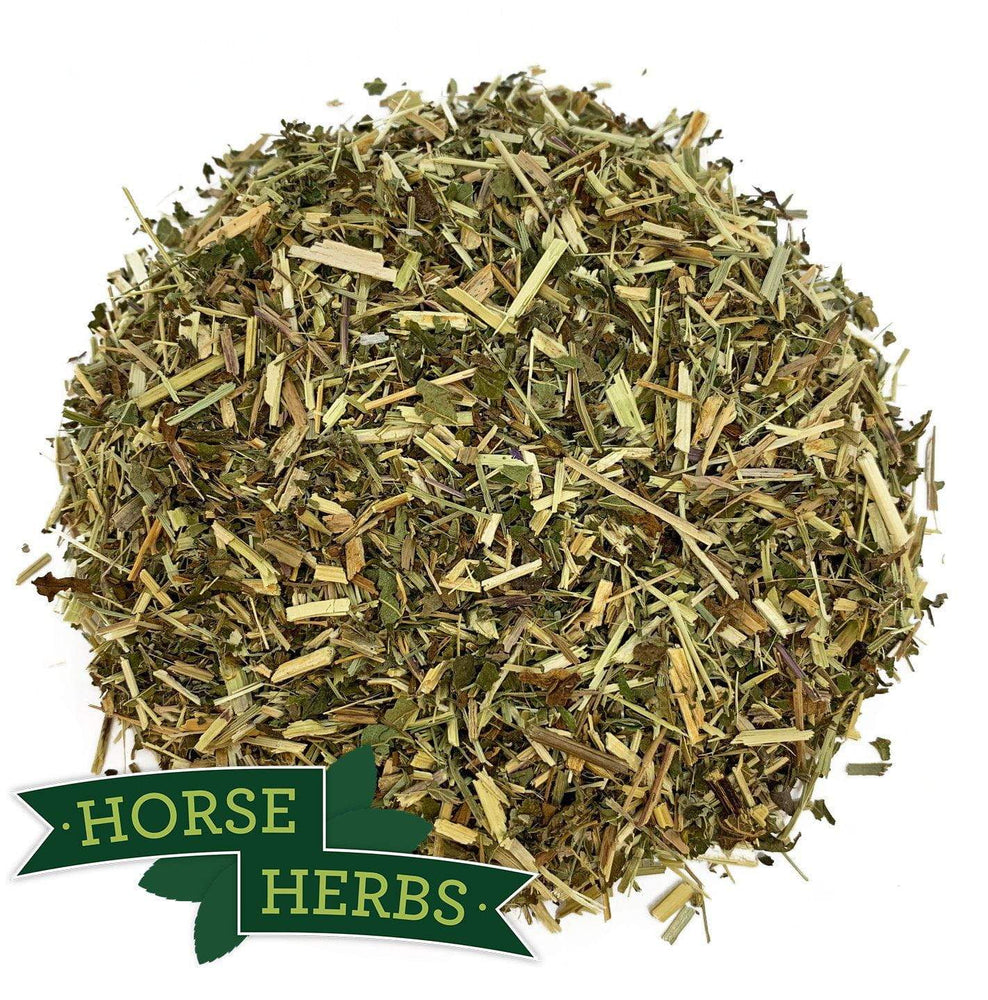 Horse Herbs Meadowsweet