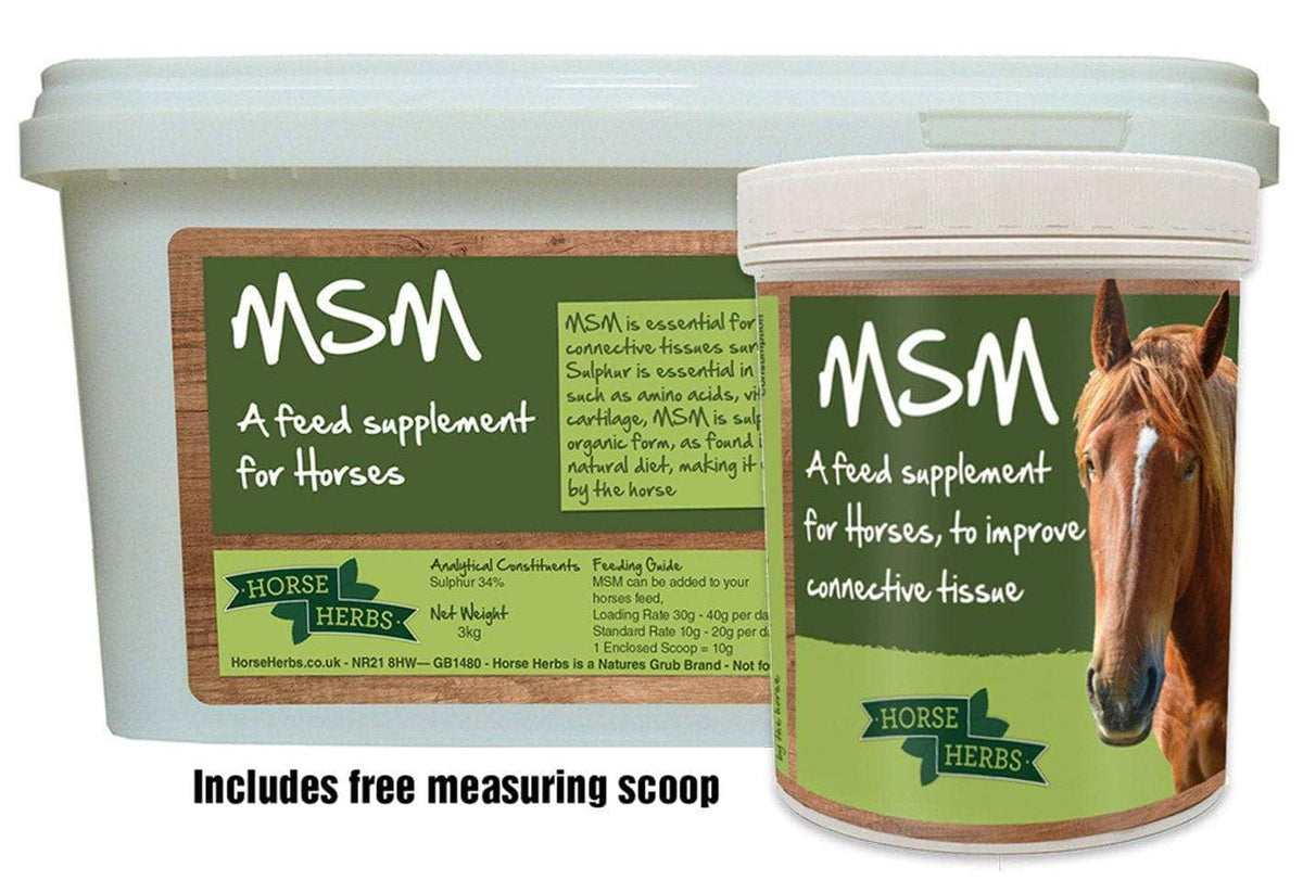 MSM For Horses Methylsulfonylmethane Supplement Horse Herbs