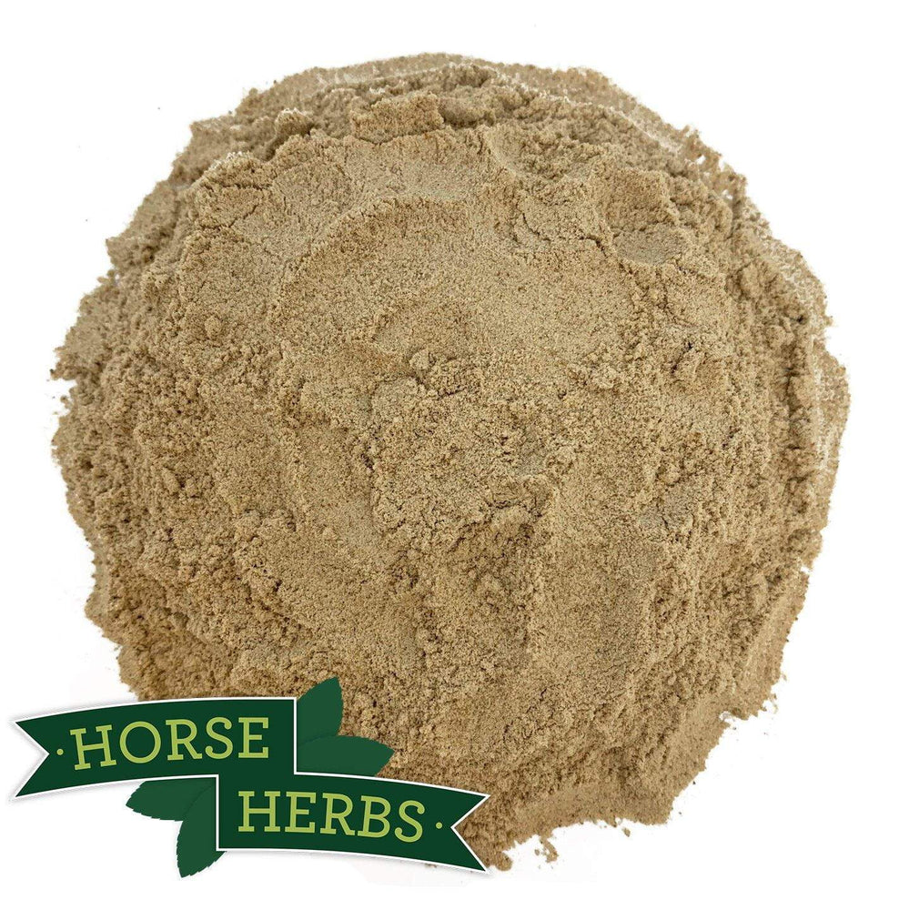 Horse Herbs Psyllium Husk